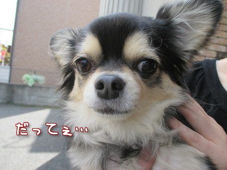 あずき