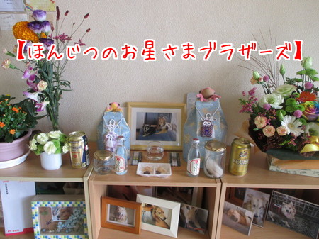 ほんじつのお星さまブラザーズ。
