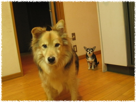 ユウタ&チャポリ
