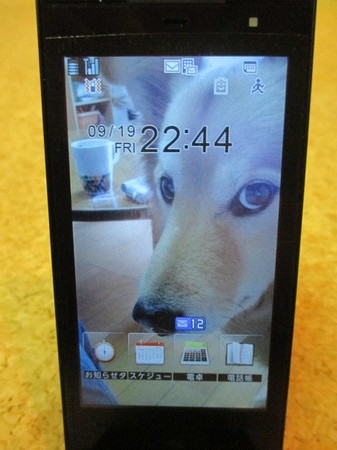 newガラ子の待ち受け画面。