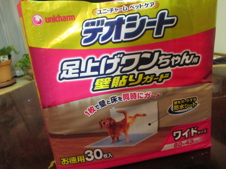 男子用おトイレシート。