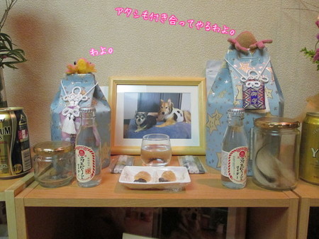 お星さまブラザーズ&ナオミ&アケミ
