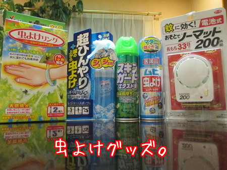 蚊対策。