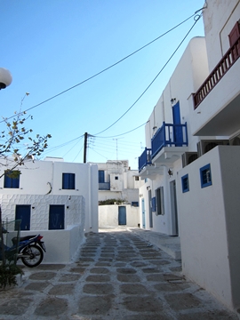 IMG_7172_360.jpg