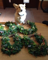 20131210213414.jpg