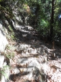高尾山 道