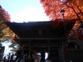 高尾山 薬王院2