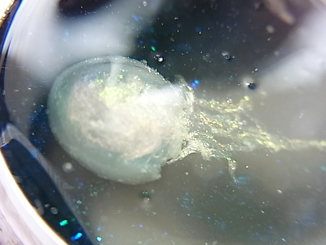 RIMG2174 (2)