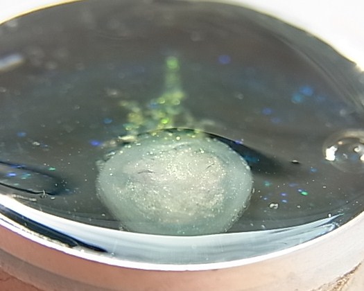 RIMG2177_20131224112137adf.jpg