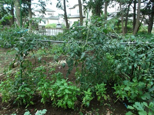 DSCF0886.jpg