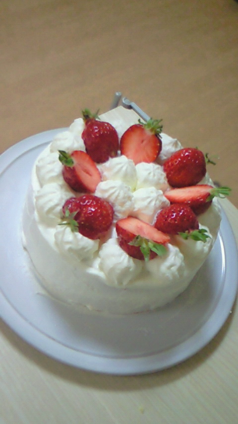 NEC_0134.jpg