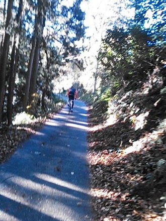 20131130_ralp.jpg