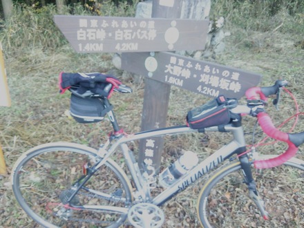 20131130_takasino.jpg