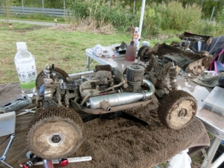CIMG0207 (480x360)