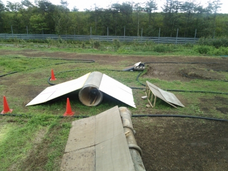 DSC_2114 (640x480)