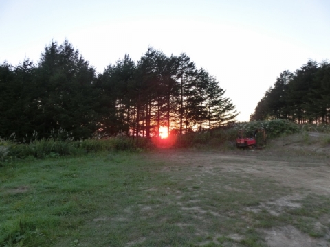 CIMG0215 (640x480)