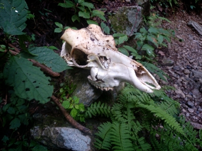 201409231708257b2.jpg