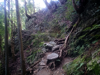 20140923171126809.jpg