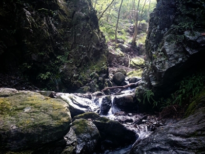 20140923171205b4d.jpg