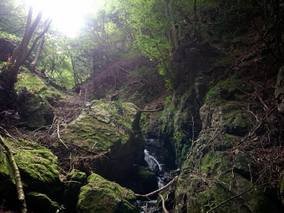 2014092317130015f.jpg