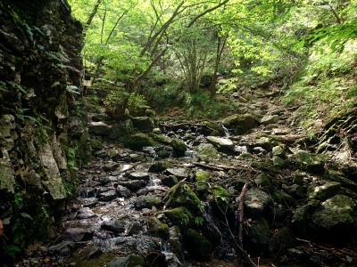 20140923171352421.jpg