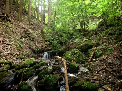 201409231718212bb.jpg
