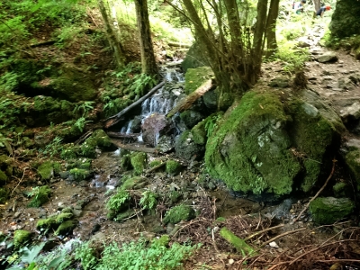 201409231719084c8.jpg