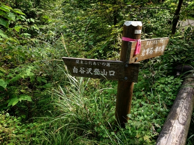 20140923172028352.jpg