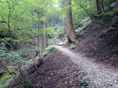 201410042313476de.jpg