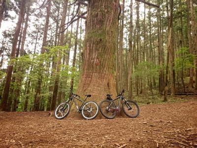 2014100423141031c.jpg