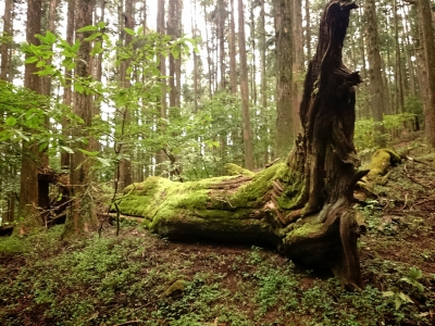 20141004231420723.jpg