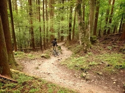 20141004231431c36.jpg