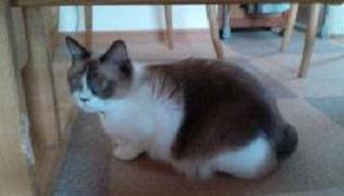 mfy-ume@20141007iyada02.jpg