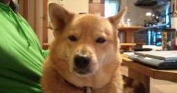 mfy@20130228dakko02.jpg