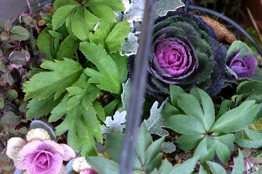 DSC_0733_05.jpg