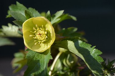 DSC_0764_05.jpg