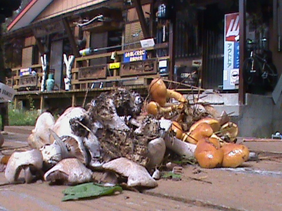 DSC00084.jpg