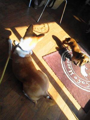 1b2013030214200000.jpg
