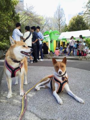 1b2013040714500001.jpg