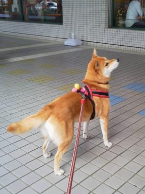 1b2013040715210000.jpg