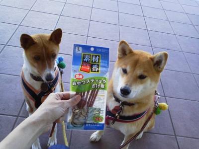 1b2013040716560001.jpg
