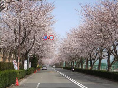 1b2013_0323 003