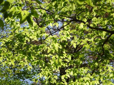 2b2013_0428 039