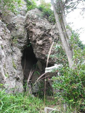 1002089-1.jpg