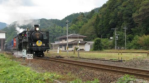 1015033-1.jpg