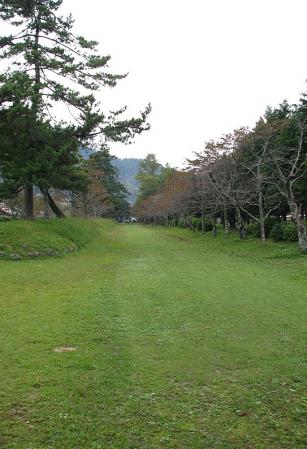 1015101-1.jpg