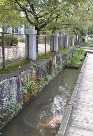 1015112-1.jpg