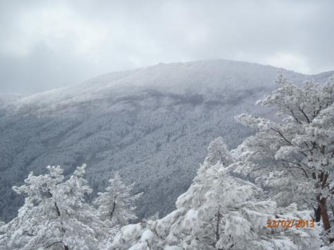 比婆山(毛無山~出雲峠) 027