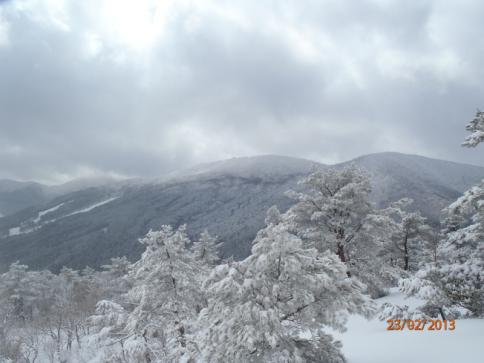 比婆山(毛無山~出雲峠) 026