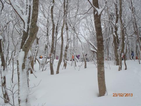 比婆山(毛無山~出雲峠) 021